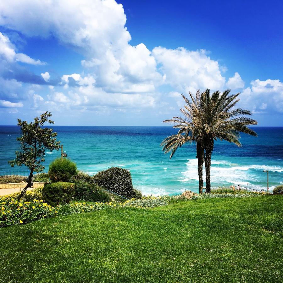 נתניה Royal Apartment On The Sea מראה חיצוני תמונה